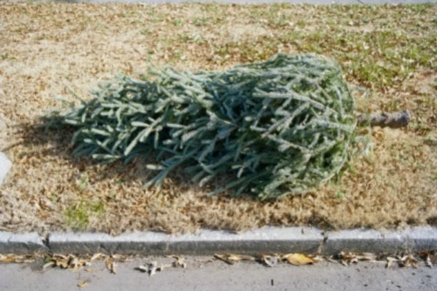 6530-000104 Oh Christmas Tree