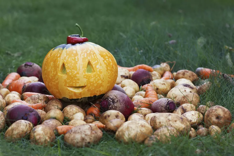 Halloween in New England: Hot Take Edition