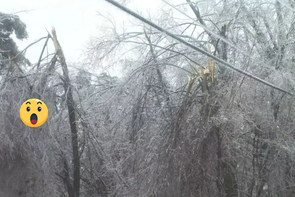 Icepocalypse 2008: Granite Staters Recall the Ice Storm That Brought New Hampshire to Its Knees