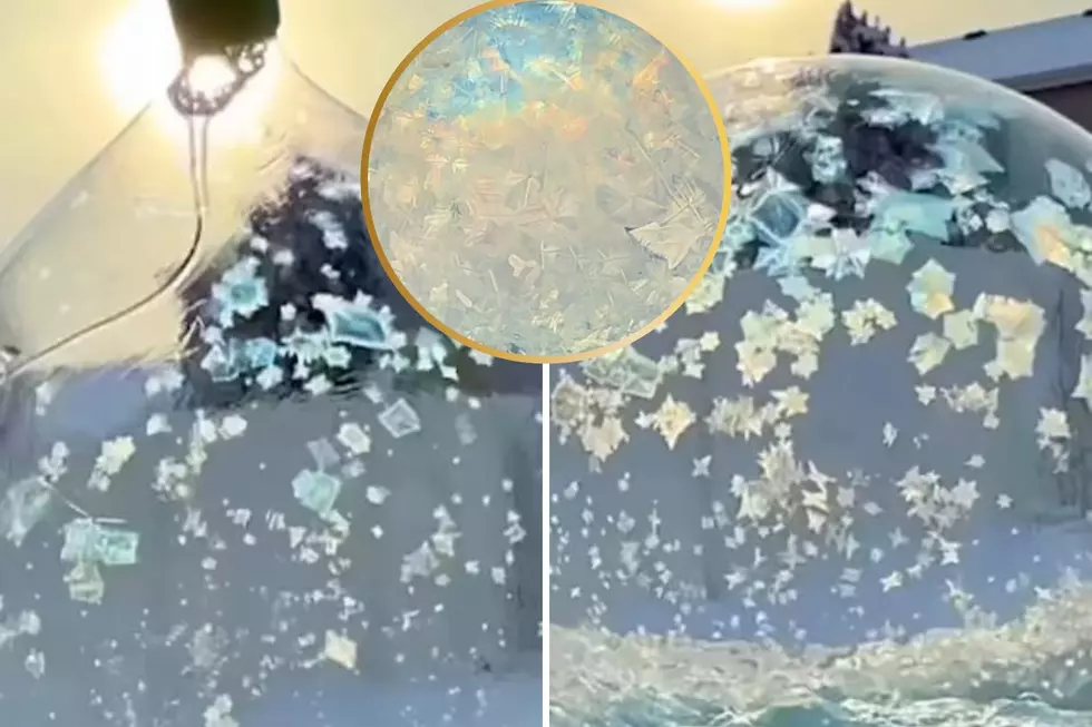 New England Kids Will Love Seeing Individual Snow Flakes in This Winter Experiment