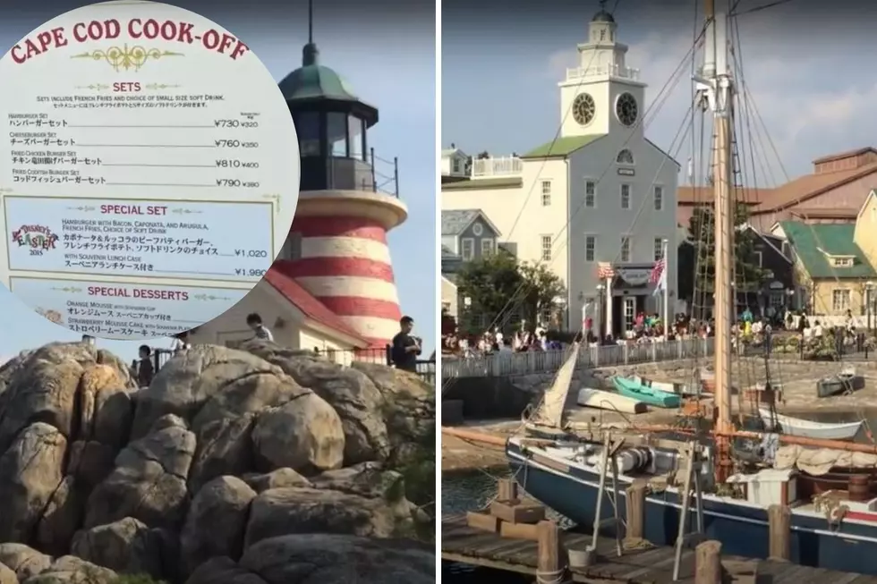 There is a Replica Town of Cape Cod, MA in Tokyo, Japan...Why?