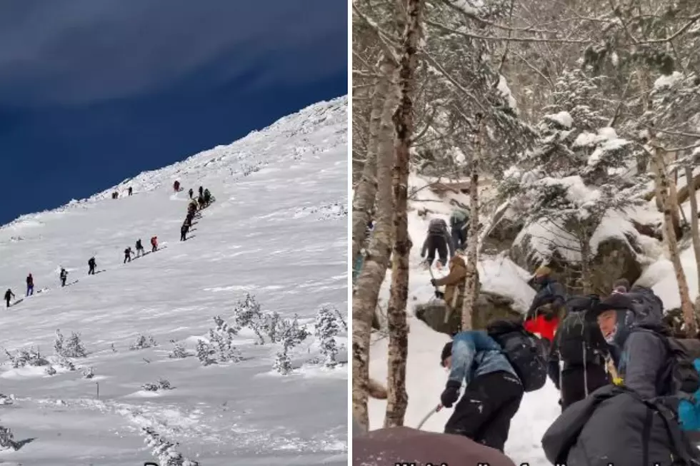 What is Lion’s Head in New Hampshire and Why is There a Line for it in January?
