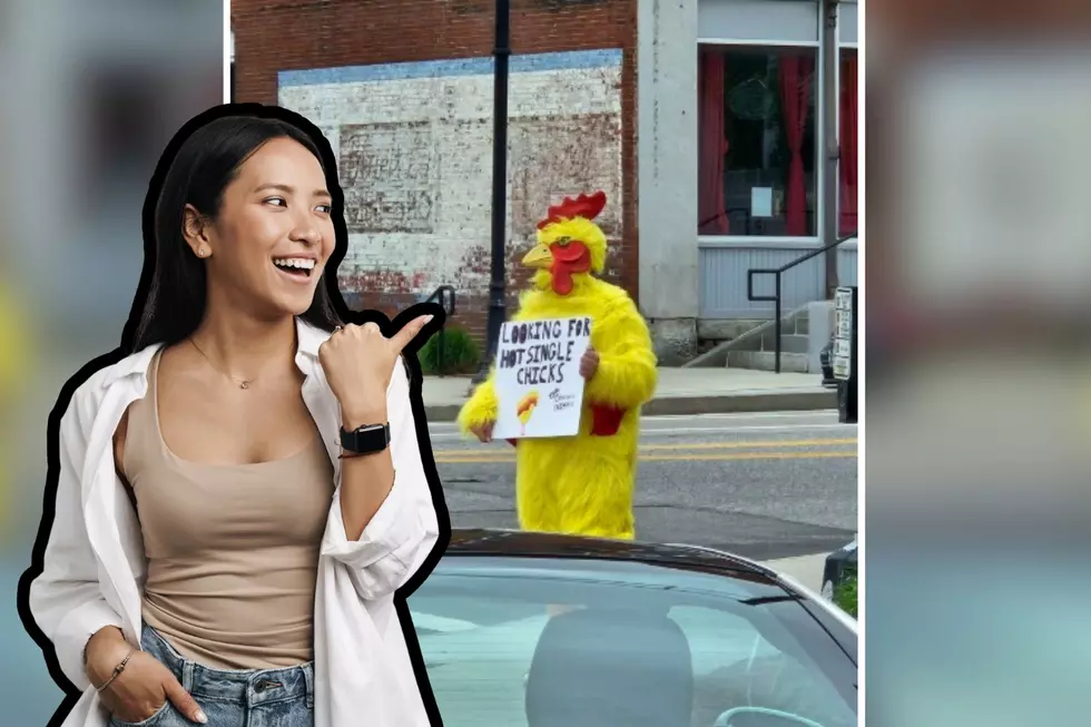 Did you See this Man Dressed as Chicken in Downtown Concord, New Hampshire?
