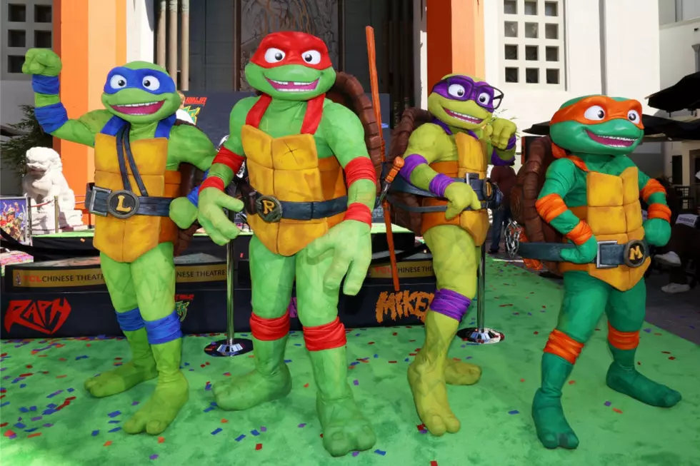 I Was So Surprised to Find Out That the Ninja Turtles Started in New Hampshire