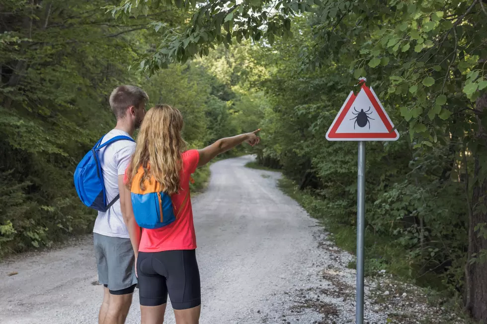 Tick Season In NH – What We Need To Know